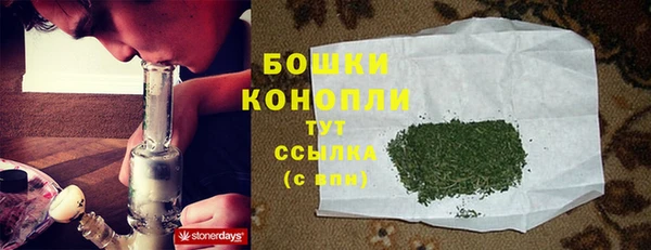 прущие крисы Елабуга