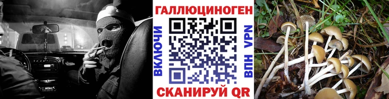 Галлюциногенные грибы мицелий  Купить закладки  Чадан 
