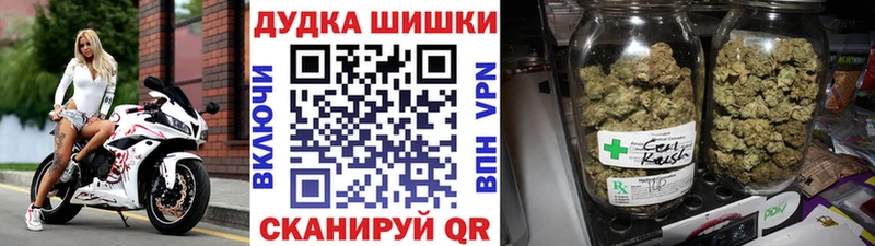 Бошки марихуана Amnesia Чадан